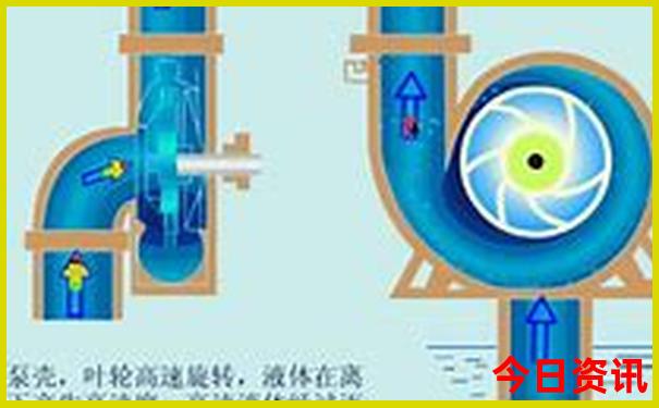 去厦门玩几天比较合适